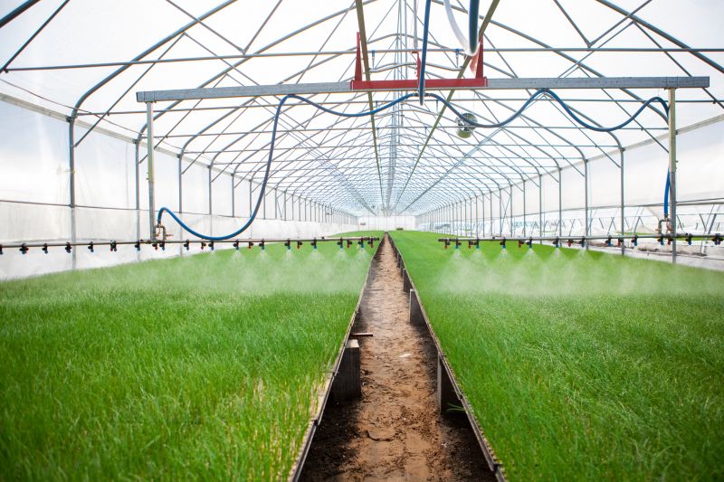 Commercial Irrigation Service in Honolulu, HI