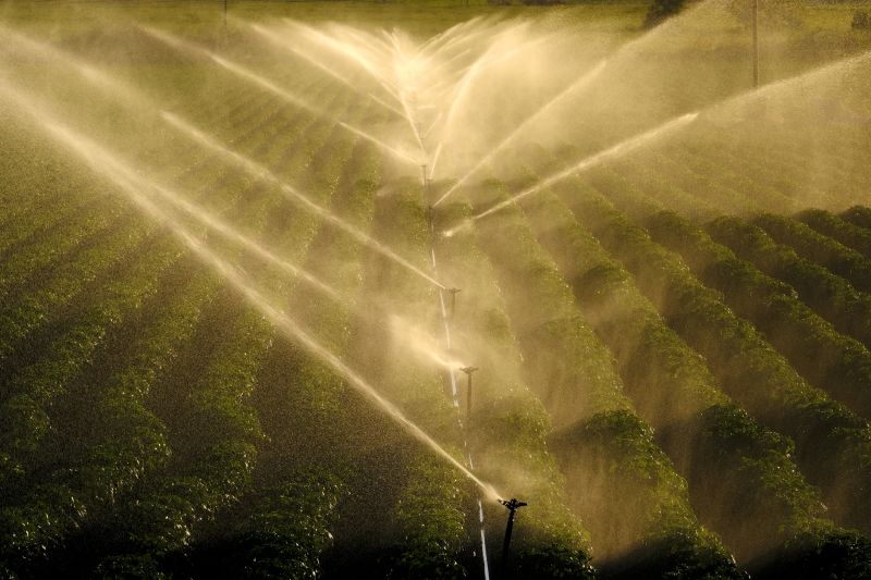 Crop Irrigation Installation in Honolulu, HI