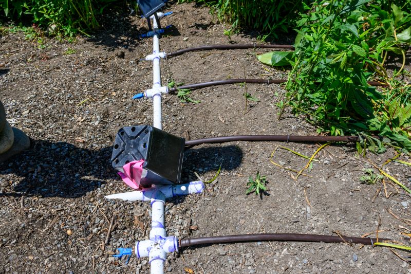 Lawn Irrigation Installation in Honolulu, HI