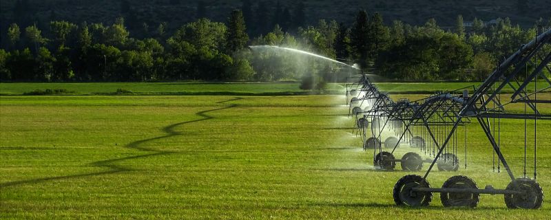 Plant Irrigation Installation in Honolulu, HI