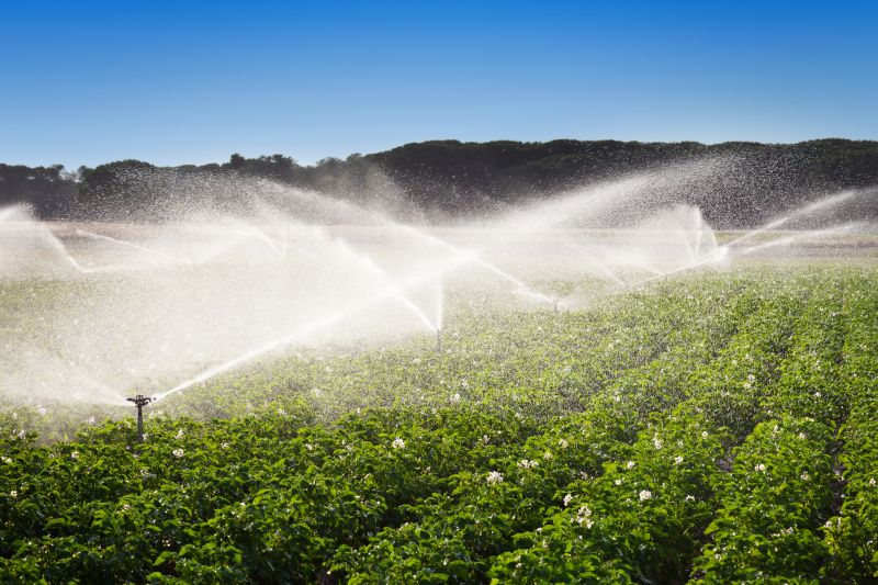Watering System Installation in Honolulu, HI