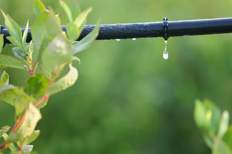 Watering System Installation in Ventura County, CA