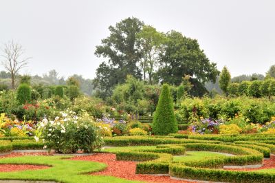 Keep Your Garden and Landscaping Healthy and Green