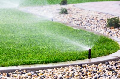 Keep Your Lawn Healthy and Green